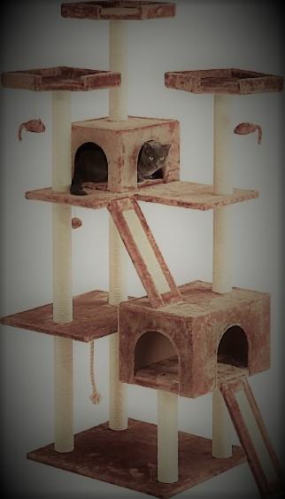 cat condo