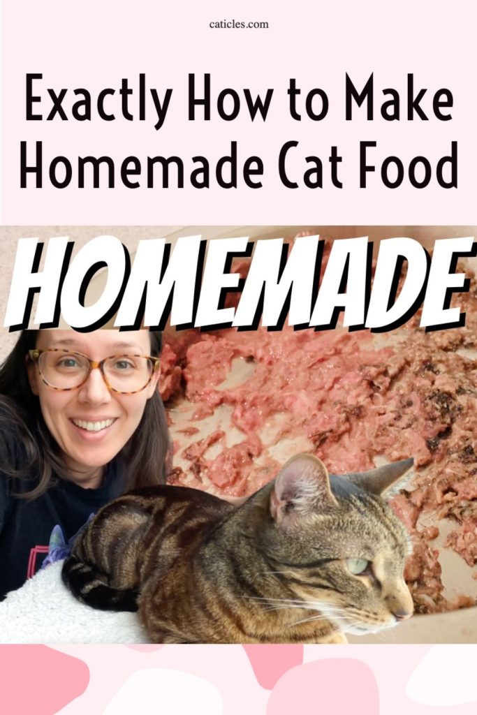 Homemade Cat Food