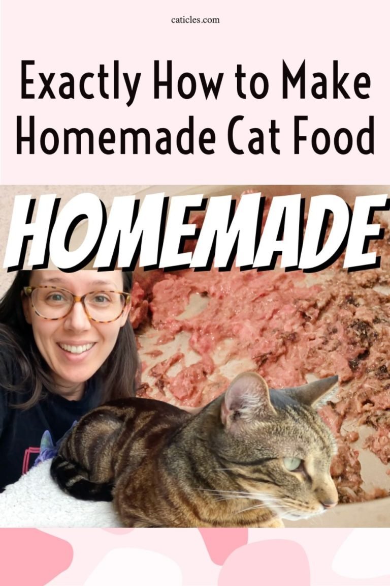 Ultimate Guide to Homemade Cat Food – 10 Essential Tips for Nutritious and Delicious Meals