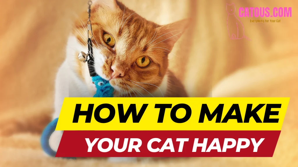 How to Make Your Cat Happy