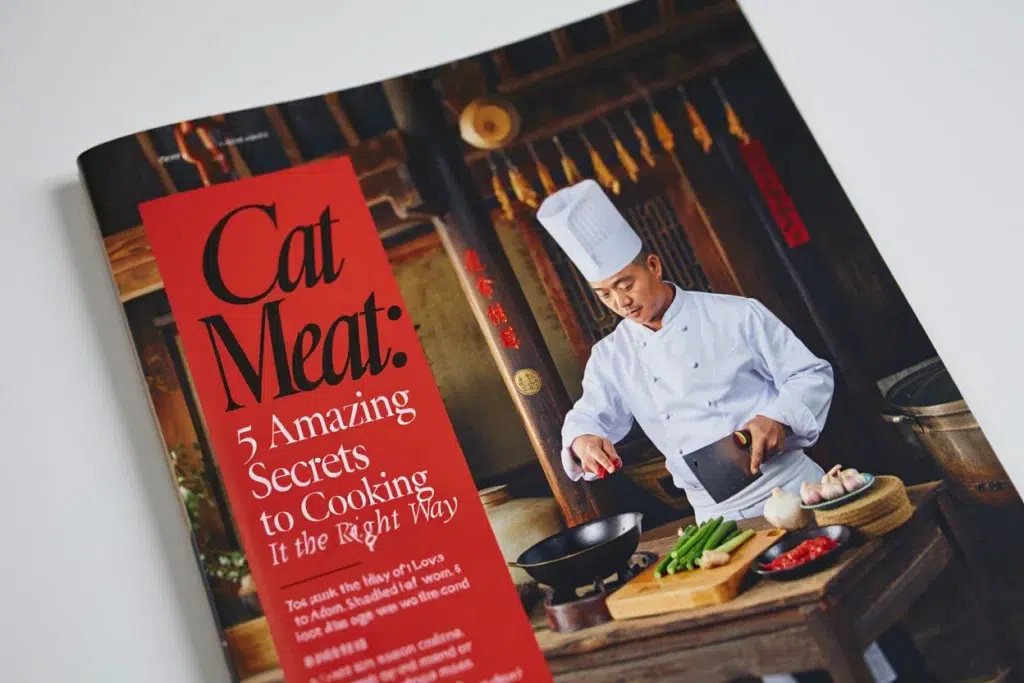 Cat Meat 5 Amazing Secrets to Cooking It the Right Way
