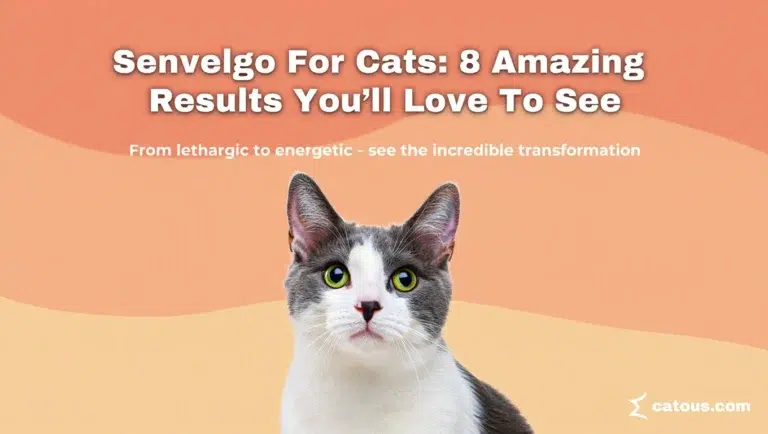 Senvelgo For Cats 8 Amazing Results You’ll Love To See (2)